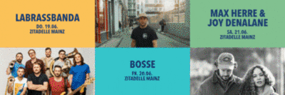kuz.de